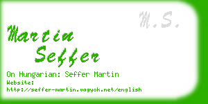 martin seffer business card